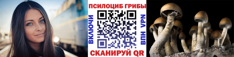 Галлюциногенные грибы Magic Shrooms OMG ТОР Пестово